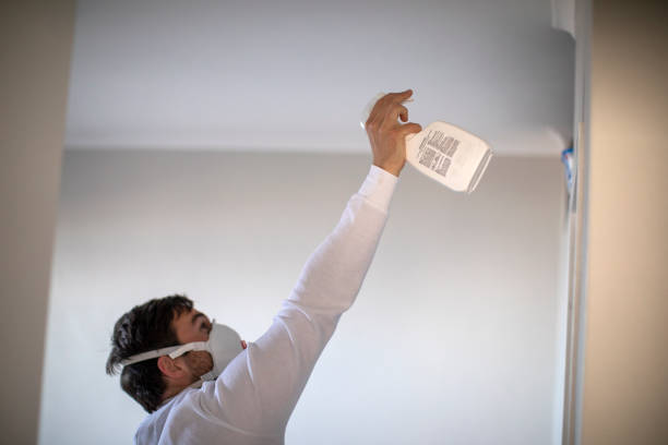 Best Water Damage Restoration  in Plum Grove, TX